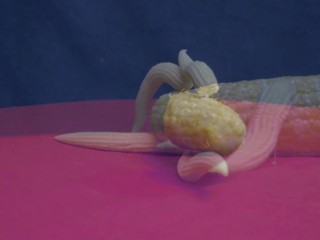 a-maize-ing hardcore action