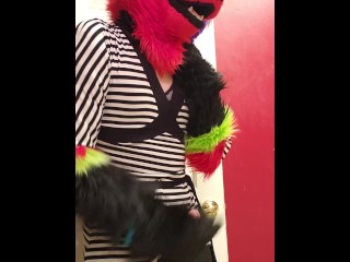 All Dressed Up
