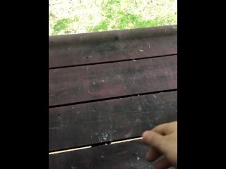 Almost Caught Throwing a Pebble!!!