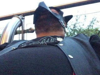 bear bash pup clip