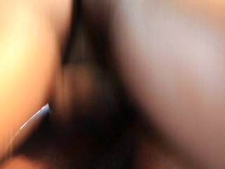 Breed His Hole 3 - TRAILER