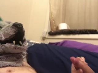 Broken Puppy Cummies