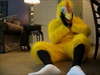 Chicken Feed Preview