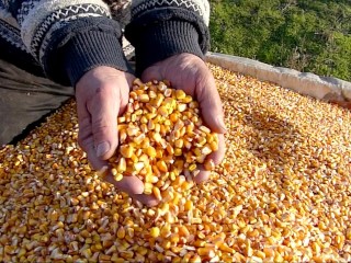 Deep Hardcorn Fisting