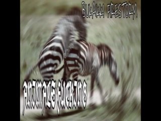 EXPERIMENTAL HARSH NOISE [PLUNDER-PHONICS] - BUKAKKI FIRESTORM