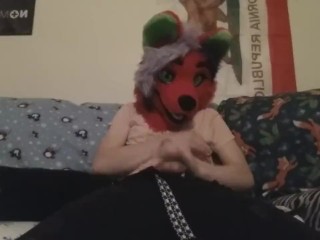 Fox Fun