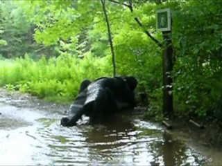 frogman puddle hump
