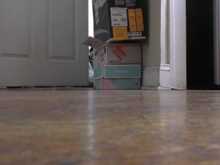 Giant Unaware Sneakers