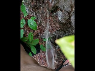 Good Morning Piss On Tree