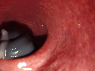 Internal Camera Bad Dragon Flint Fucks and Cums Deep In My Ass