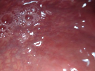 Internal View XL Bad Dragon Diego Anal Multi Cum Shot