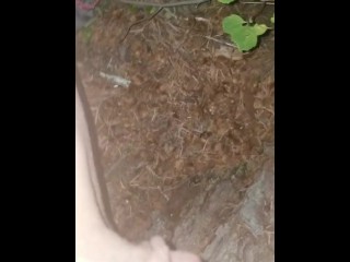 Late Night Piss In Woods