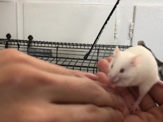 Lovely chunky fluff Cheese says hi everyone!
