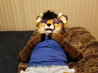 motel furry