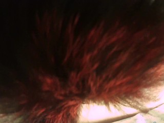 My Foxy Tail 7 Insertion 2