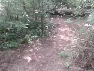 Off the Path: A Quick Walk in the Woods