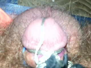 Painful electro torture my tiny penis