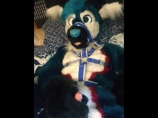 Pawing off in a harness