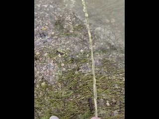 Peeing at the local reservoir. Somebody drove by when I was done.