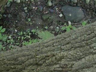 Peeing From a Fallen Tree in a Public Park