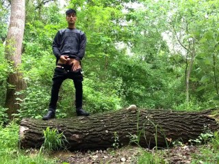 Piss from a tree trunk