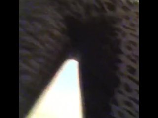 Pissing my pants