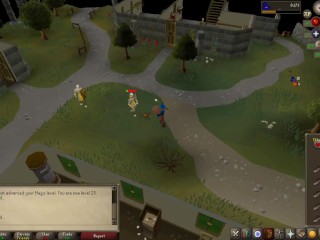 Safe spotting with a dog
