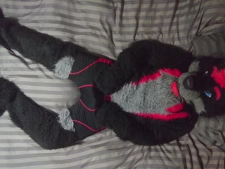 Sexy Fursuit Stripping