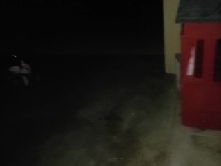 Stand Up and Piss