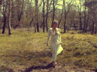Sunshine Stream