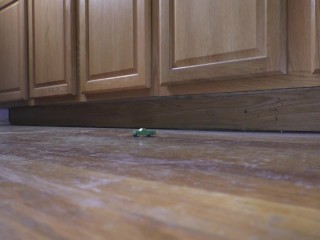 Tiny Truck in the Kitchen (slow motion)