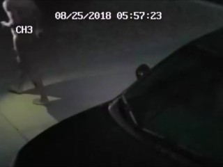 TOOK A PISS IN THE CAR